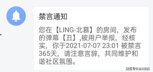发王者爆料怎么整视频,轻松制作视频的独家技巧  第2张