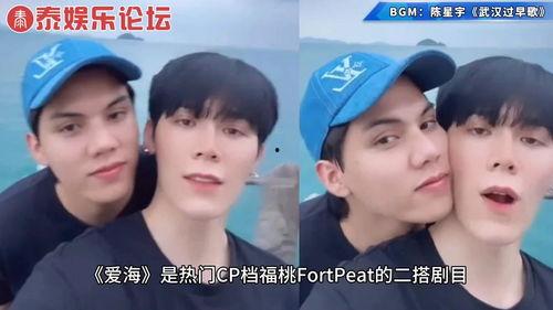 fortpeat圈内爆料,揭秘游戏圈幕后风云  第1张